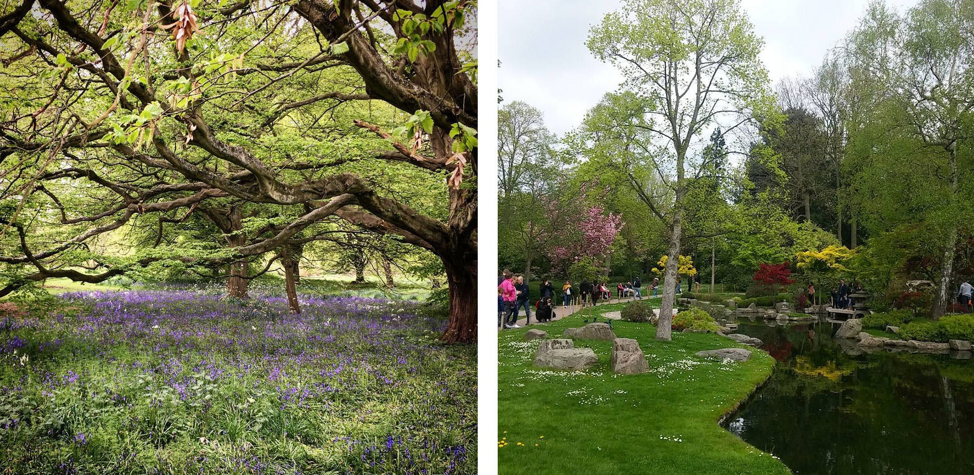 kew gardens london nature lover adventurous traveller visit garden park river